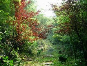 馬鞍山雨山空氣質量指數